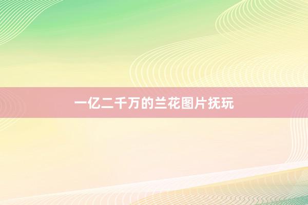 一亿二千万的兰花图片抚玩