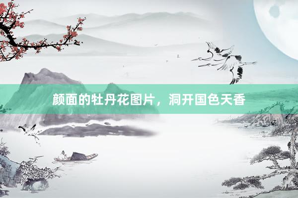 颜面的牡丹花图片，洞开国色天香