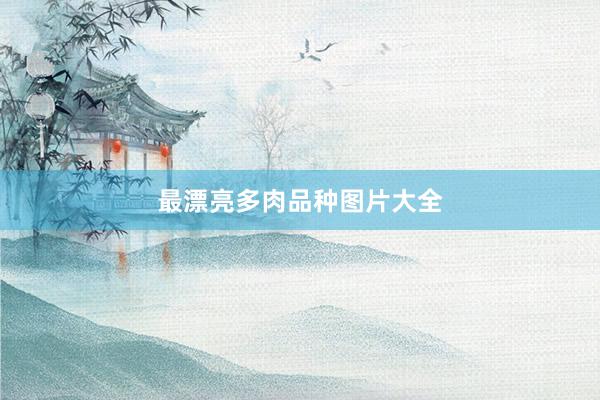 最漂亮多肉品种图片大全