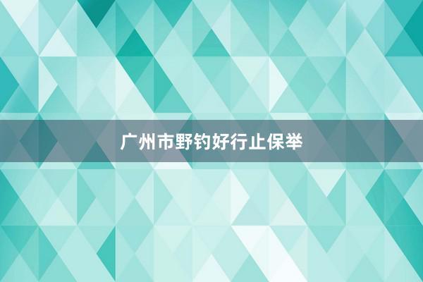 广州市野钓好行止保举
