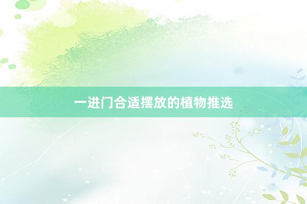 一进门合适摆放的植物推选
