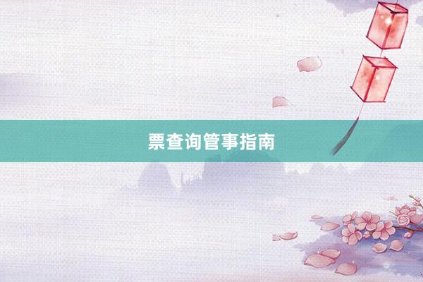 票查询管事指南