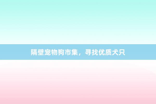 隔壁宠物狗市集,寻找优质犬只
