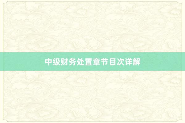中级财务处置章节目次详解
