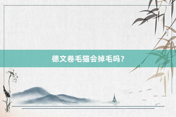 德文卷毛猫会掉毛吗？